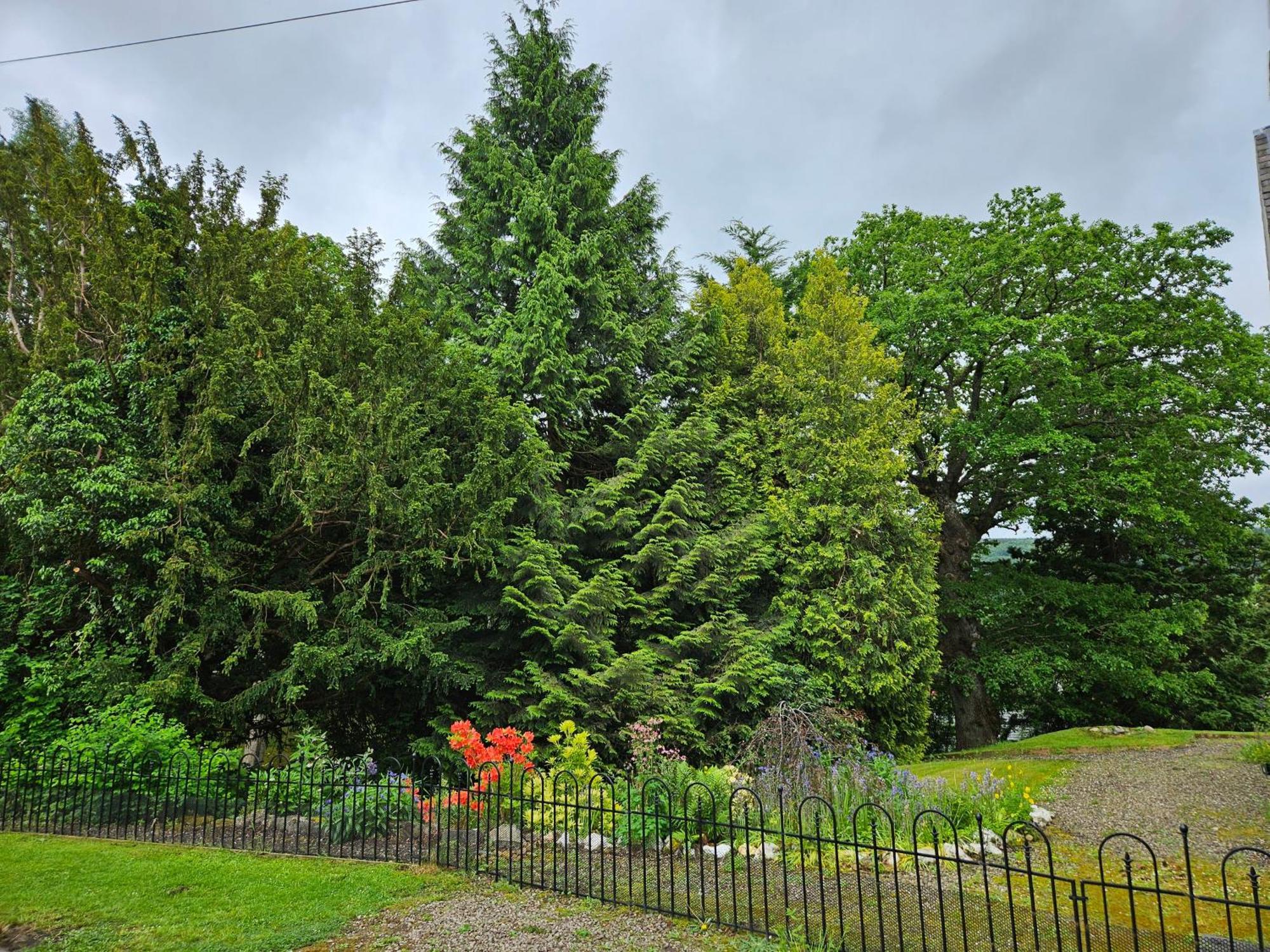 Cosy Peaceful One-Bedroom Cottage In Pitlochry Luaran gambar